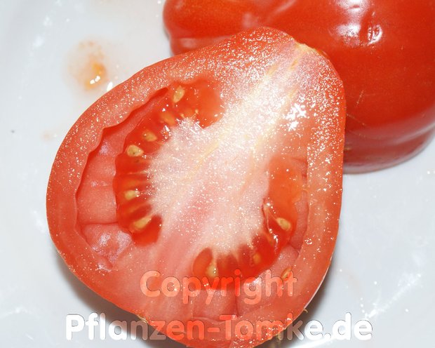 Tomaten Samen Ochsenherz Fleischtomate Cuor di Bue