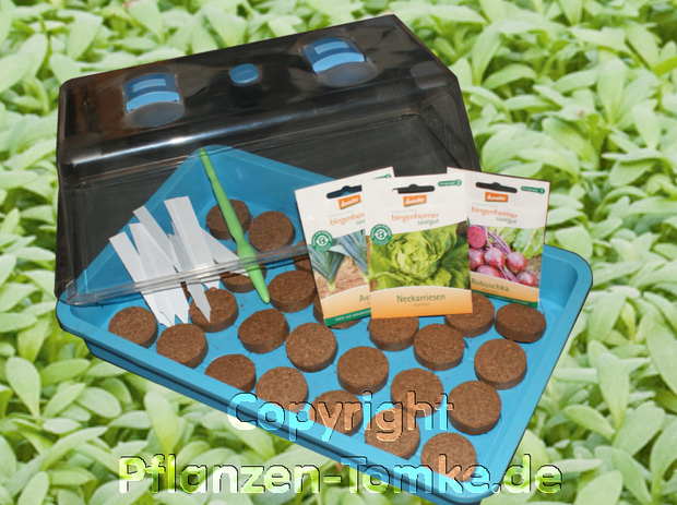 Aussaatset 3, Zimmergewächshaus Biosamen, Samen, BIO