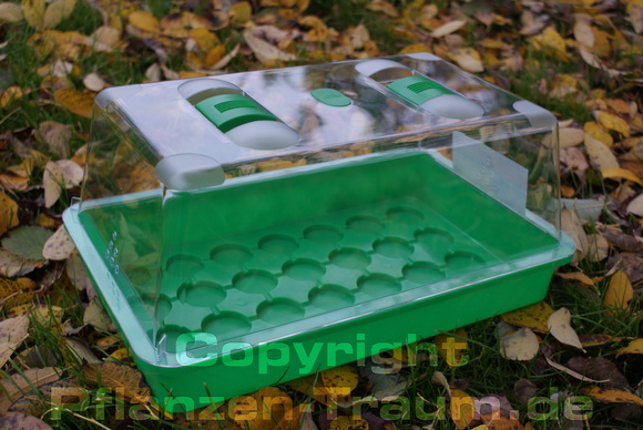 Zimmergewächshaus Marco 38 x 24 x 19 cm